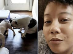 Mynoviah Tinsley, Snellville, Georgia woman mauled to death in dog attack