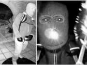 Expert reveals key detail in Nancy Guthrie kidnapper suspect identity