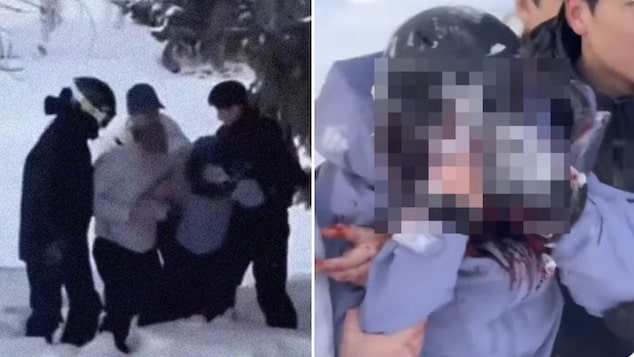 Female tourist mauled by snow leopard trying to take selfie at ski resort in northern China.