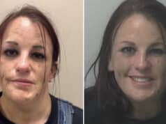 Erika Dixon Johnson, North Carolina mom arrested for shoplifting at Walmart while leaving children in hot car.