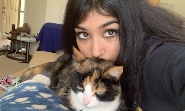 3 Wayne University students killed in Detroit car crash Little Caesars area identified