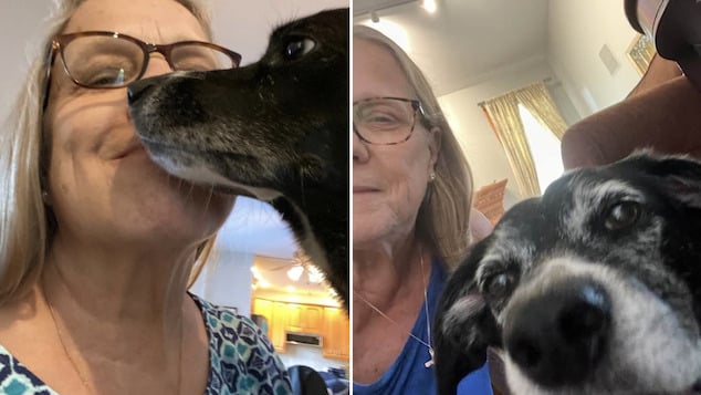 Liberty Township murder suicide; Frederick Buckley, Butler County, Ohio man shoots & kills wife, Claire Olmsted Buckley dead then self