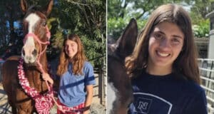 Emily Grace Nevada Barrel racer arrested stabbing 3 horses at equestrian meet.