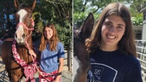 Emily Grace Nevada Barrel racer stabs 3 horses trying to knock out ...