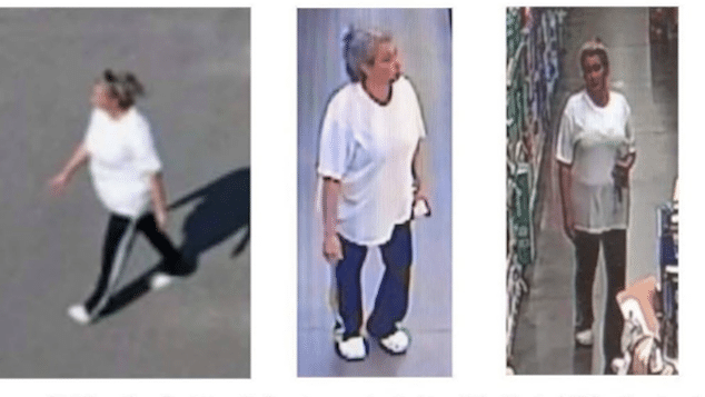 Dana Darlene Ammons missing, Havelock, N.C woman