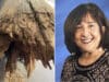 Paula Budin lawsuit: retired school teacher killed by falling wooden pole