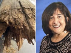 Paula Budin lawsuit: retired school teacher killed by falling wooden pole