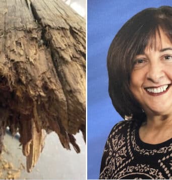 Paula Budin lawsuit: retired school teacher killed by falling wooden pole