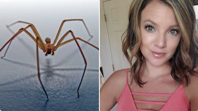 Britagne Miller, Kansas mom with pre existing medical condition fights for life after multiple spider bites