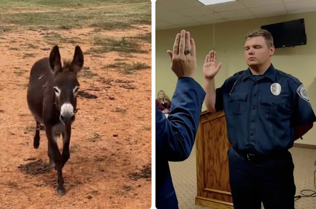 Officer Trenton Garner, Cedartown police officer identified as Georgia cop who shot and killed HeeHaw, baby donkey