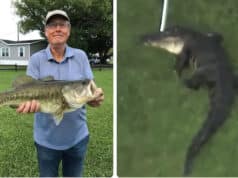 Steven Hamilton, Florida fisherman killed in alligator attack at Lake Apopka, Dr. Bradford Memorial Park
