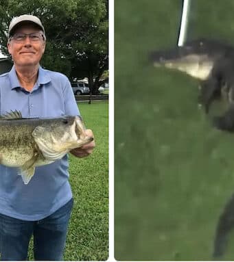 Steven Hamilton, Florida fisherman killed in alligator attack at Lake Apopka, Dr. Bradford Memorial Park